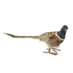 Phileas Pheasant Decoration (4653377290300)
