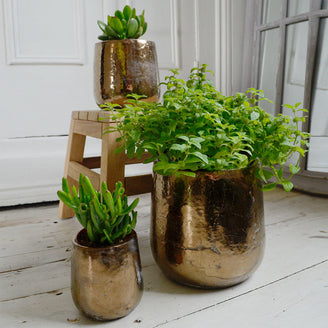 Divine Gold Indoor Plant Pots (4650075815996)