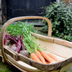 Royal Sussex Garden Trug (4649618178108)