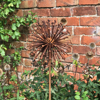 Rusted Dandelion Seedhead (6643414892604)