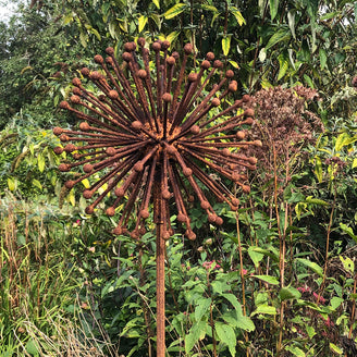 Rusted Dandelion Seedhead (6643414892604)