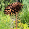 Rusted Starburst Dahlia (4653150404668)