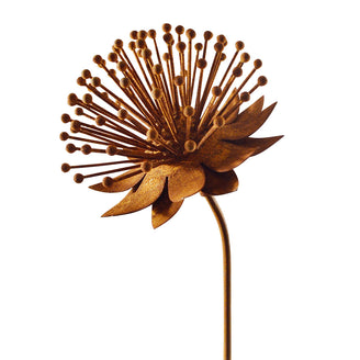 Rusted Echinacea Flower (4651953586236)