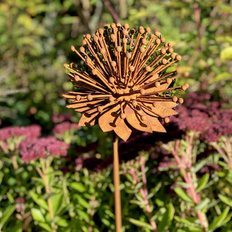 Rusted Echinacea Flower (4651953586236)