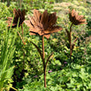 Rusty Lily Garden Flower (4651922882620)