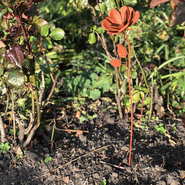 Rusting Metal Rose (4653140738108)