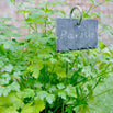 Slate Plant Marker on a Stick (4650114056252)