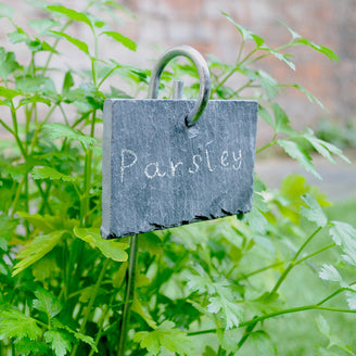 Slate Plant Marker on a Stick (4650114056252)