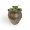 Gold Copper Indoor Plant Pots (4649572663356)