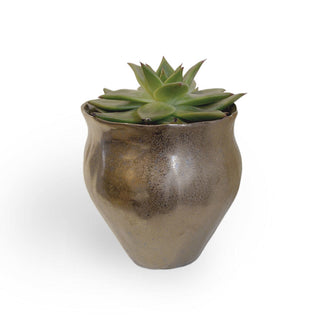 Gold Copper Indoor Plant Pots (4649572663356)