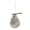 Glittered Sliver Pear (4650063593532)