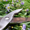 Stainless Steel Flower Scissors (4649582166076)