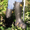 The Boot by Gold Leaf (4647982170172)