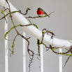 Twig Garland with Moss (4649075736636)