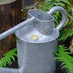 Haws Warley Fall Galvanised Professional Watering Can - 2 Gallon (7163338489916)