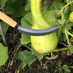 Vegetable Harvesting Sickle (4695312171068)