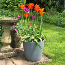 Conical Eco Planters