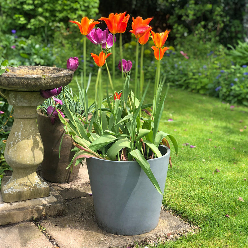 /products/conical-eco-planters