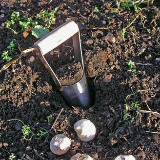 Hand-held Bulb Planter (4647969980476)