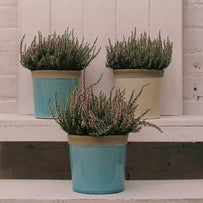 Glazed Herb Pot (4648597127228)