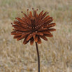 Rusted Aster Flower (6584054743100)