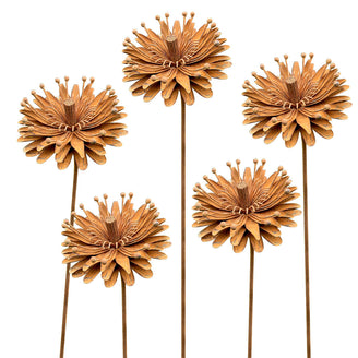 Rusted Aster Flower (6584054743100)