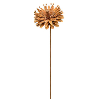 Rusted Aster Flower (6584054743100)