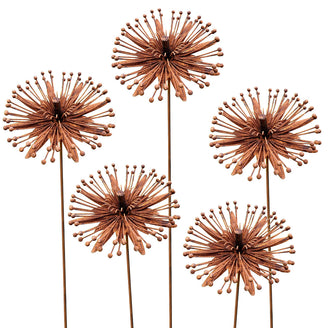 Rusted Clematis Flower (6584055398460)