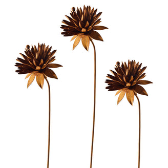 Rusted Cornflower (4651953913916)