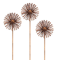 Rusted Dandelion Seedhead (6643414892604)