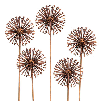 Rusted Dandelion Seedhead (6643414892604)