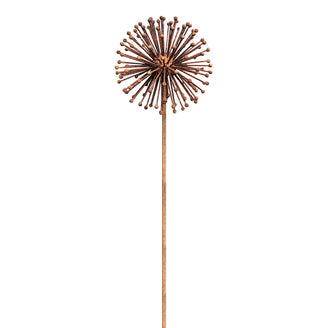 Rusted Dandelion Seedhead (6643414892604)