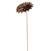 Rusted Starburst Dahlia (4653150404668)