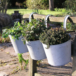 Balcony Planters