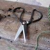 Traditional Flower Scissors (4647889403964)