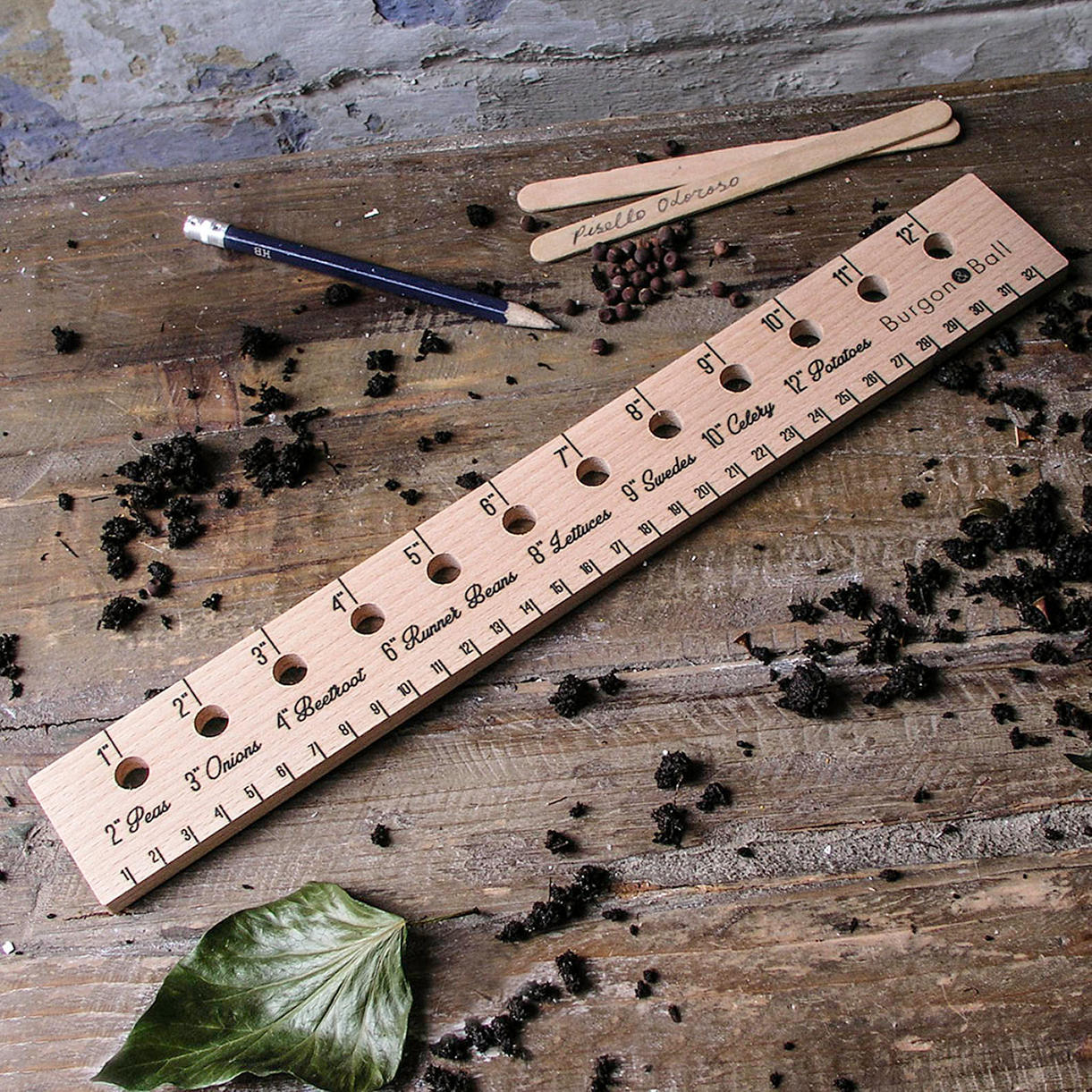 Seed planting ruler