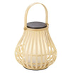 Leo To-Go Solar Lantern (6610264850492)