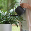 Urban Watering Can (4649700229180)