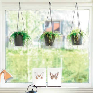 Urban Hanging Planter (4649482321980)