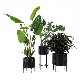 Ivo Planter on Stand (4653141065788)