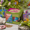 Seedbom Set of 4 - Wildflower Wonders (4653400653884)