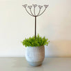 Plant Pot Stem Decoration - Cow Parsley (7163306770492)