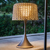 Ambient Mesh Solar Table Lamp (4652121751612)