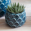 Artichoke Ceramic Plant Pots (4651344429116)