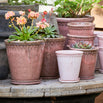 Lacepot Glazed Plant Pot Antiqued Dusty Rose (7137545977916)