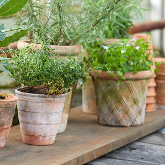 Harlequin Natural Clay Plant Pot (7137539817532)