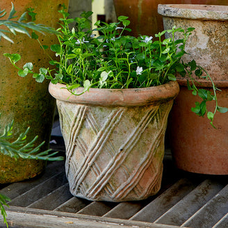 Harlequin Natural Clay Plant Pot (7137539817532)