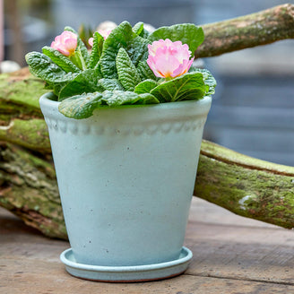 Lacepot Edged Glazed Plant Pot Mixed Blues (7138279784508)