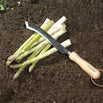 Asparagus Knife (4646492340284)