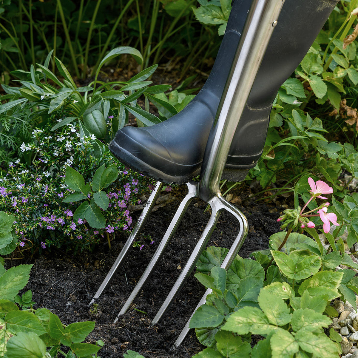 Buy Garden Border Fork — The Worm that Turned - revitalising your ...